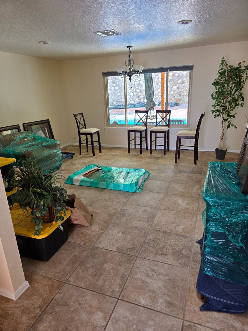 Rolled rugs, bins and plants waiting to be placed mid-setup
