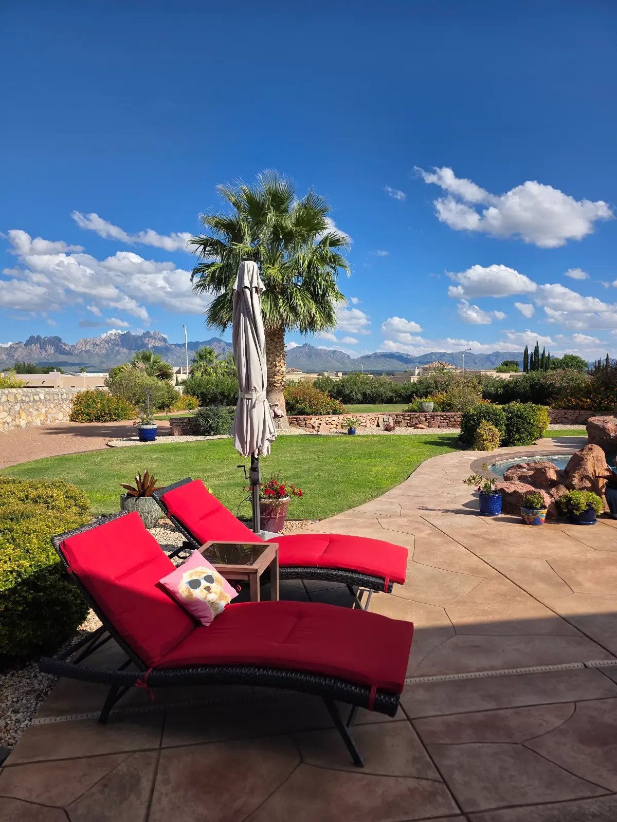 Outdoor staging with red loungers and Organ Mountain views, Las Cruces NM